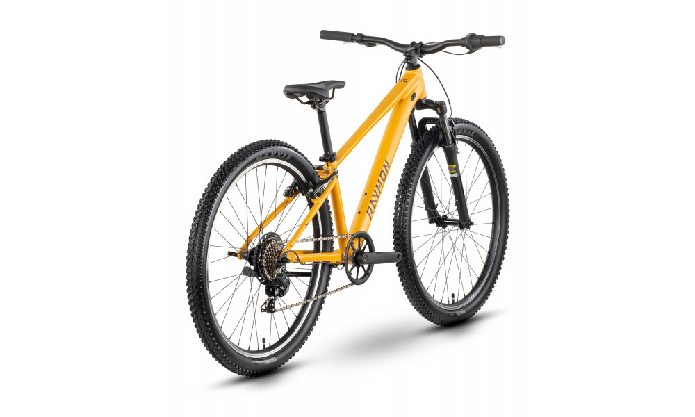 Dviratis Raymon Nayta 26 Comp 2026 kurkuma - 3