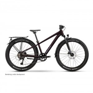 Dviratis Raymon Nayta 26 Pro Street 2026 floridplum