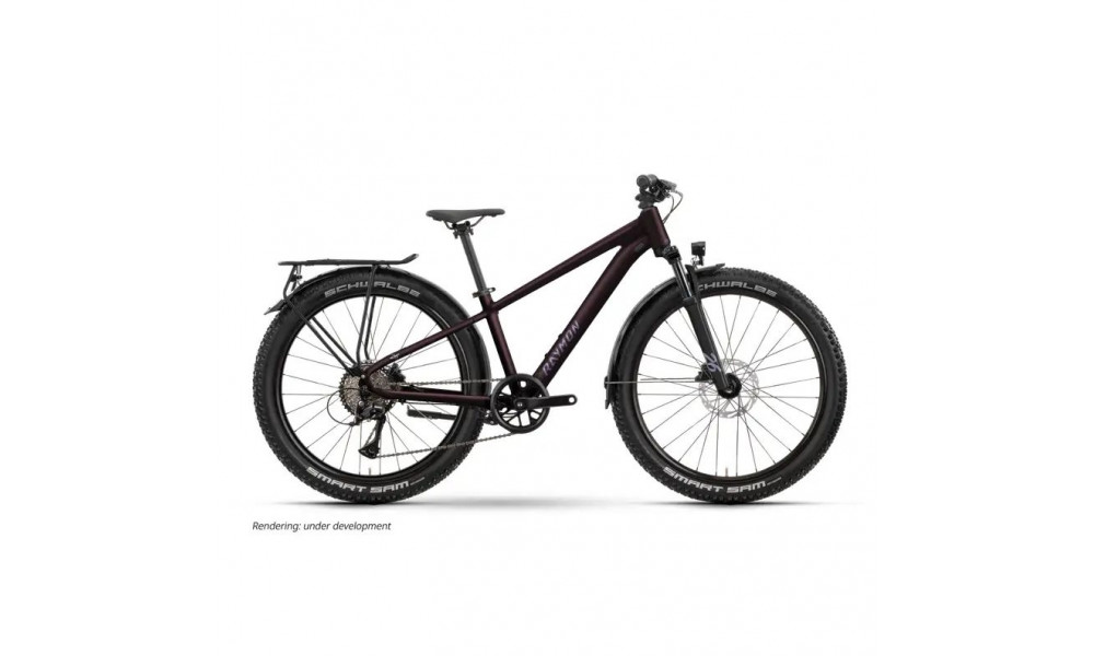 Dviratis Raymon Nayta 26 Pro Street 2026 floridplum 