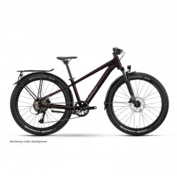 Dviratis Raymon Nayta 26 Pro Street 2026 floridplum