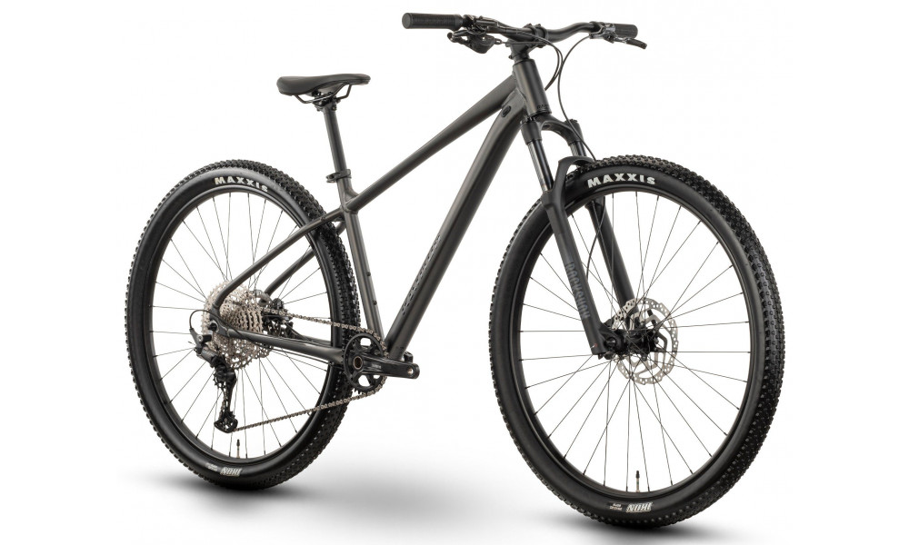 Dviratis Raymon Nayta Ultra 29" 2026 anthracite-black - 2