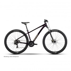 Dviratis Raymon Nayta 27.5" 2026 floridplum-sulfur