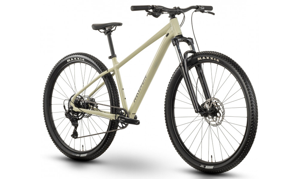 Dviratis Raymon Nayta Comp 29" 2026 salvia green-black - 2