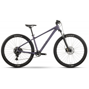 Dviratis Raymon Nayta Comp 29" 2026 smoke lavender-black