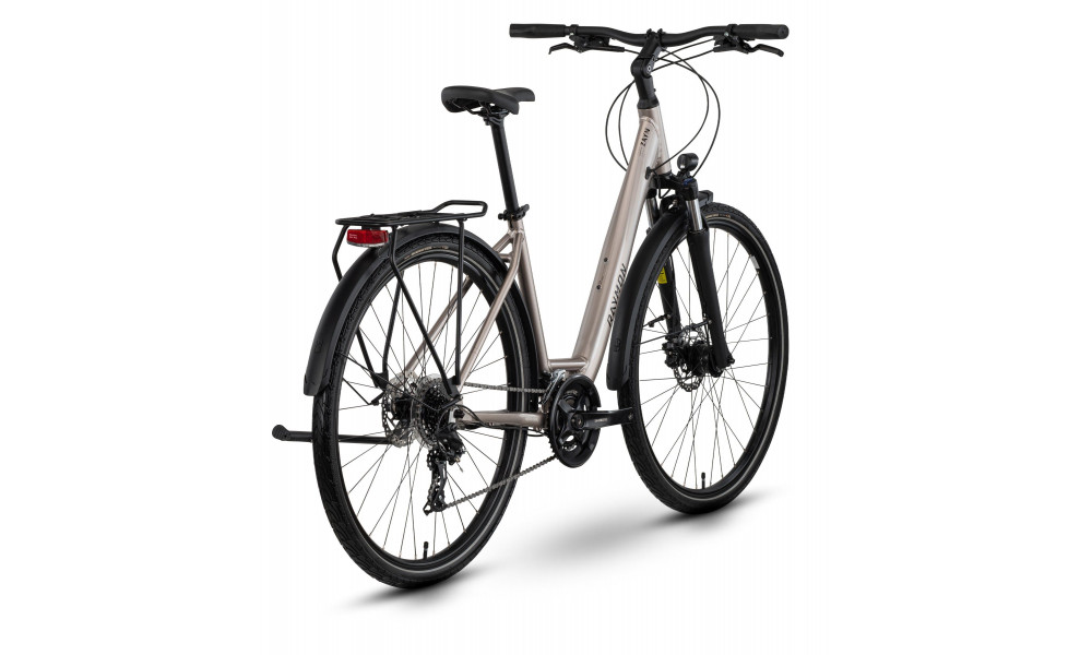Dviratis Raymon Zayn Comp Easy Entry 2026 taupe grey-black - 3