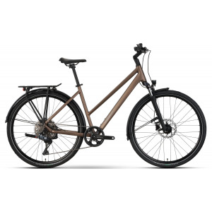 Dviratis Raymon Zayn Auto Trapeze 2026 mushroom