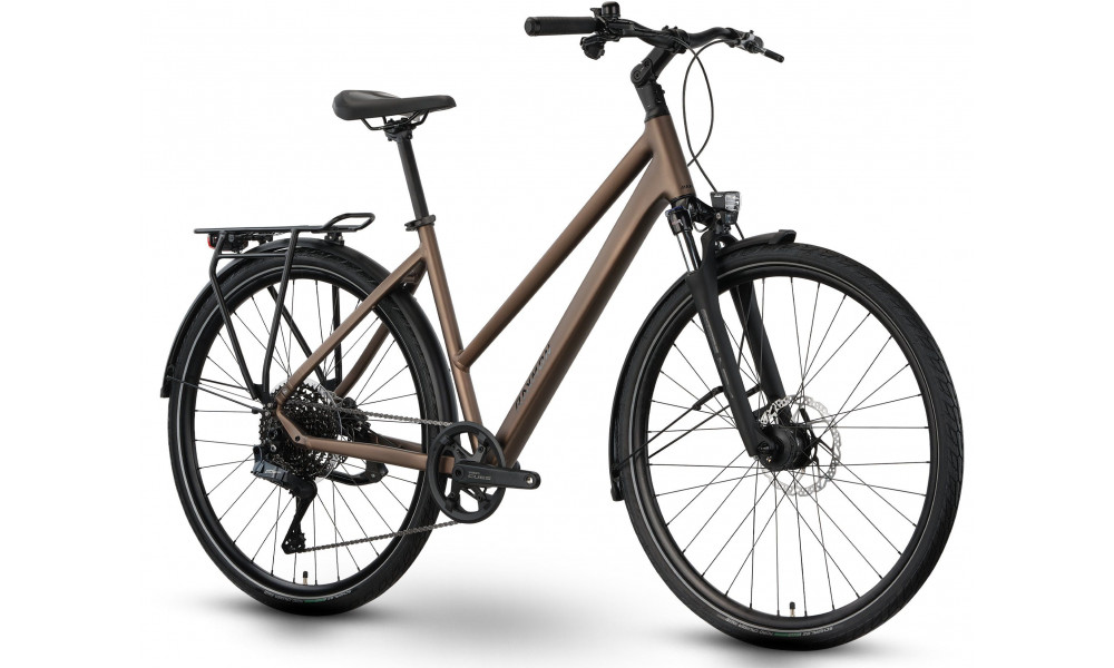 Dviratis Raymon Zayn Auto Trapeze 2026 mushroom - 2