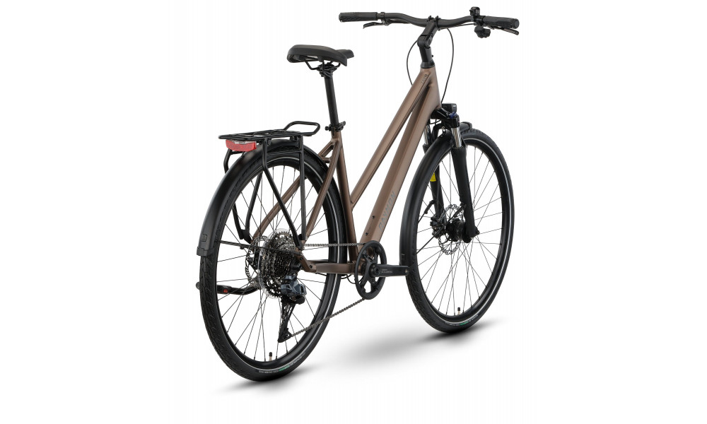 Dviratis Raymon Zayn Auto Trapeze 2026 mushroom - 3