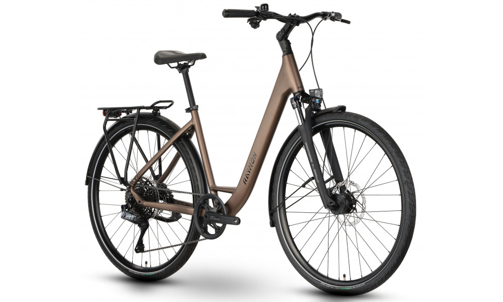 Dviratis Raymon Zayn Auto Easy Entry 2026 mushroom - 2