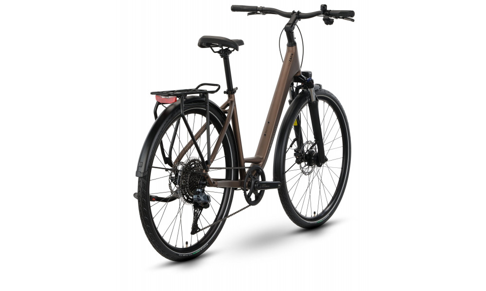 Dviratis Raymon Zayn Auto Easy Entry 2026 mushroom - 3