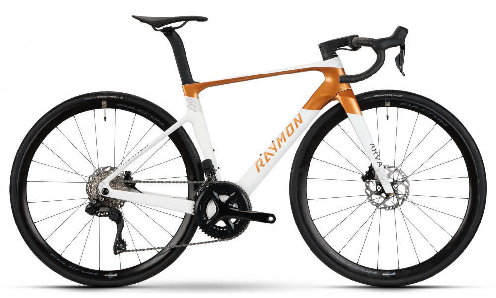 Dviratis Raymon Arva Comp 2026 white-copper - 1