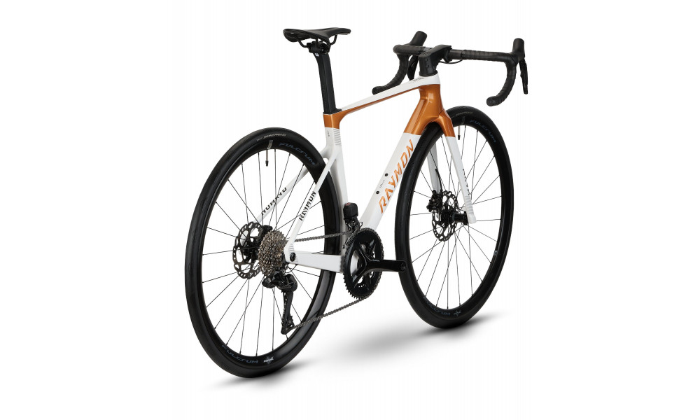 Dviratis Raymon Arva Comp 2026 white-copper - 3