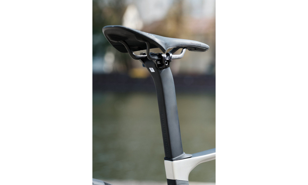 Dviratis Raymon Arva Ultimate 2026 carbon-champagne - 2