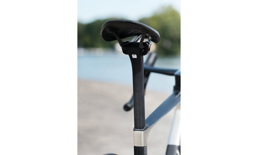 Dviratis Raymon Arva Ultimate 2026 carbon-champagne - 3