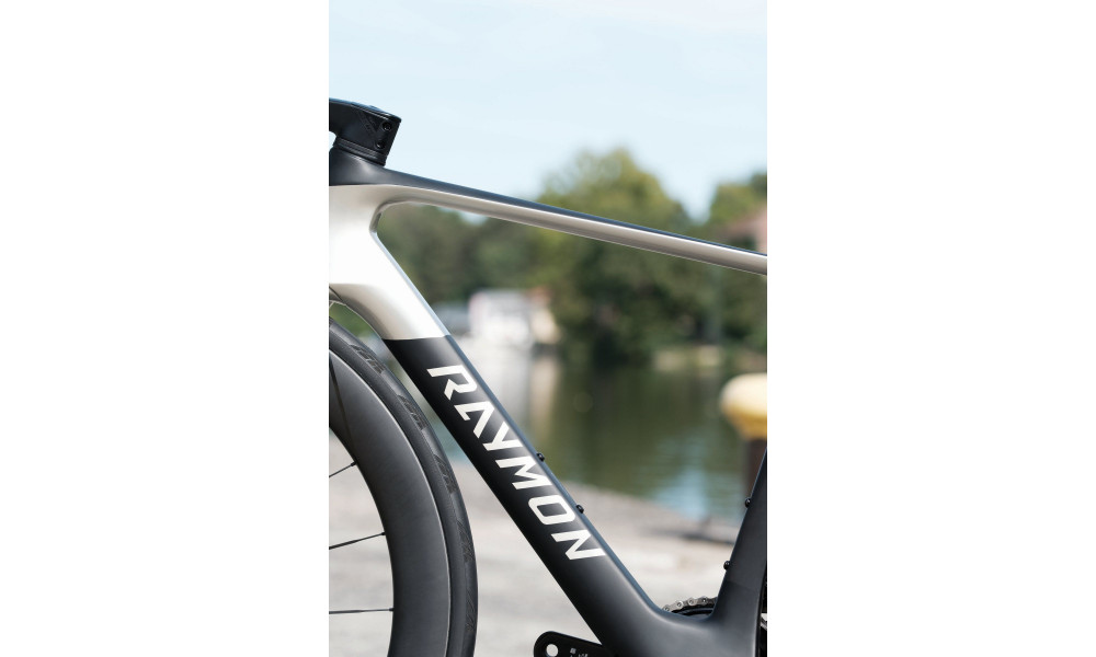 Dviratis Raymon Arva Ultimate 2026 carbon-champagne - 10