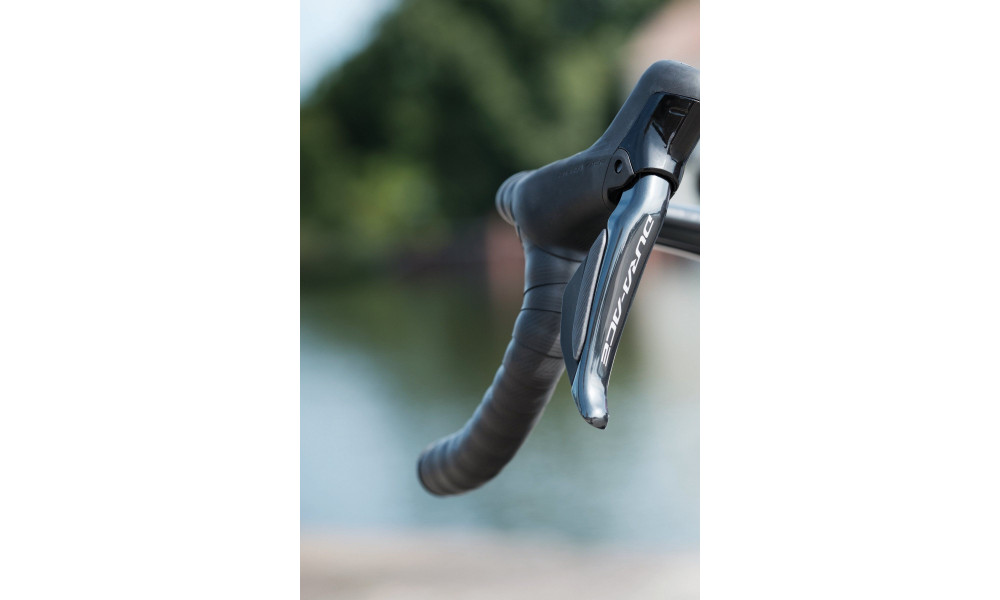 Dviratis Raymon Arva Ultimate 2026 carbon-champagne - 14