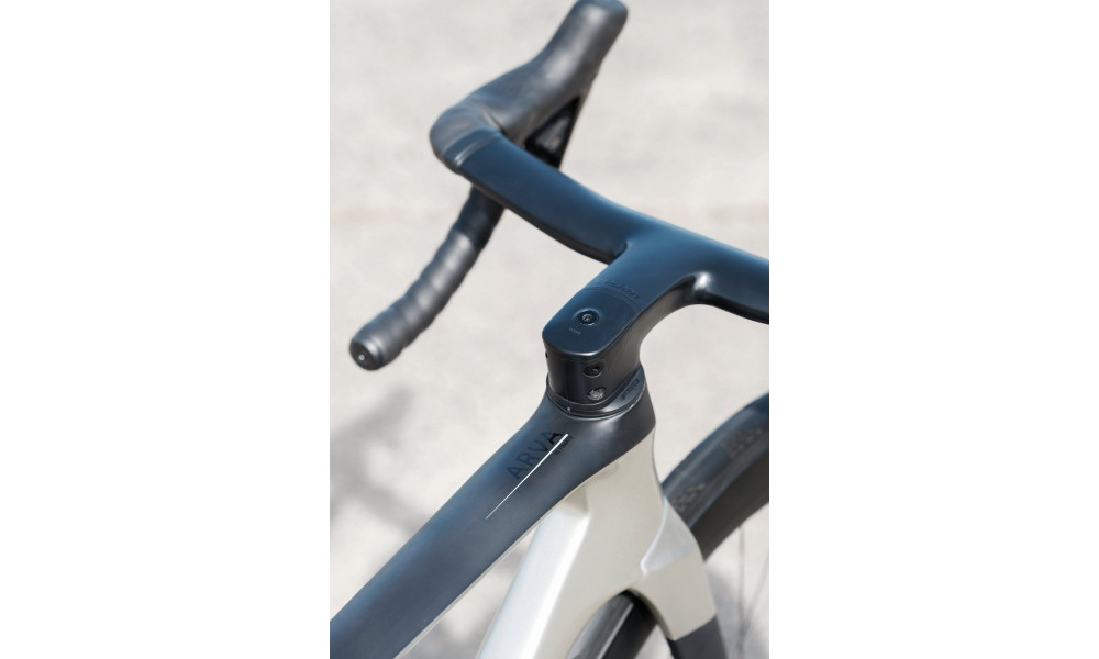 Dviratis Raymon Arva Ultimate 2026 carbon-champagne - 15