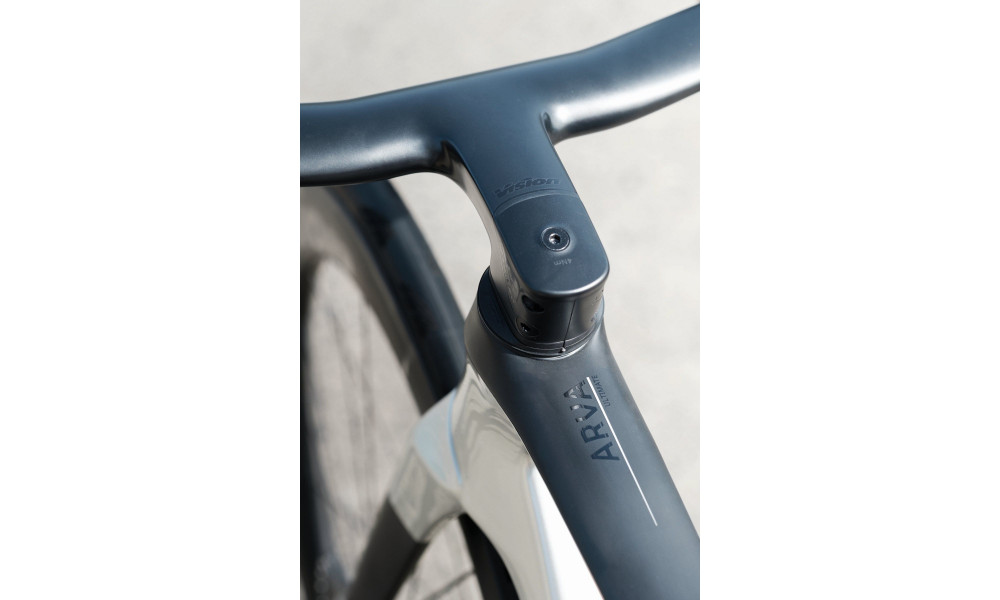 Dviratis Raymon Arva Ultimate 2026 carbon-champagne - 16