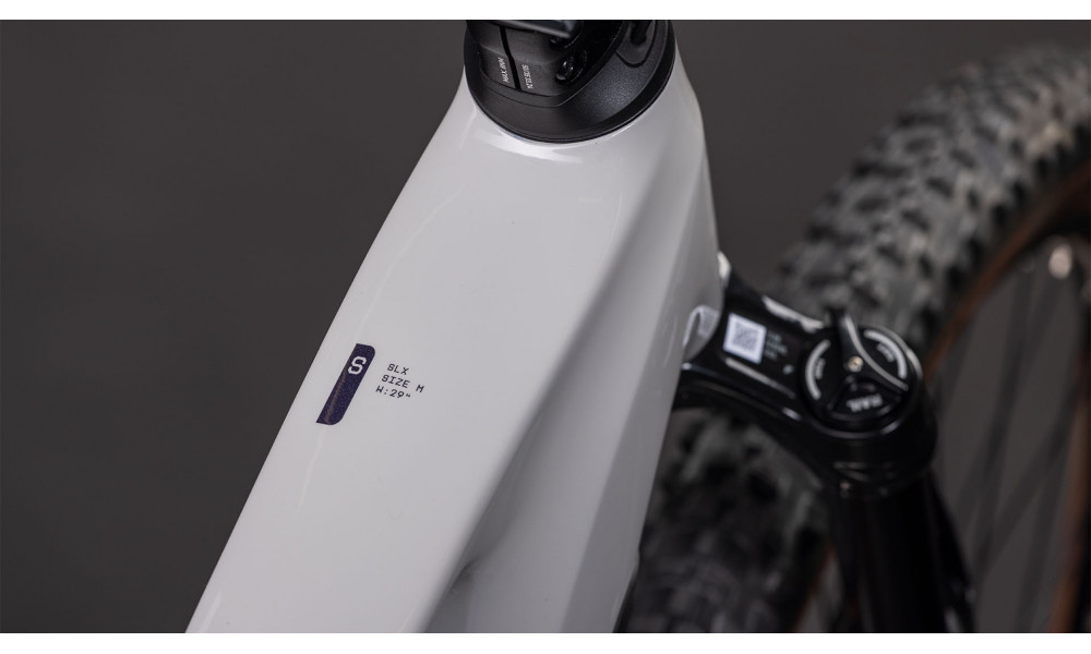 Elektrinis dviratis Cube Stereo Hybrid ONE22 SLX 800 29 greige'n'switch 2026 - 6