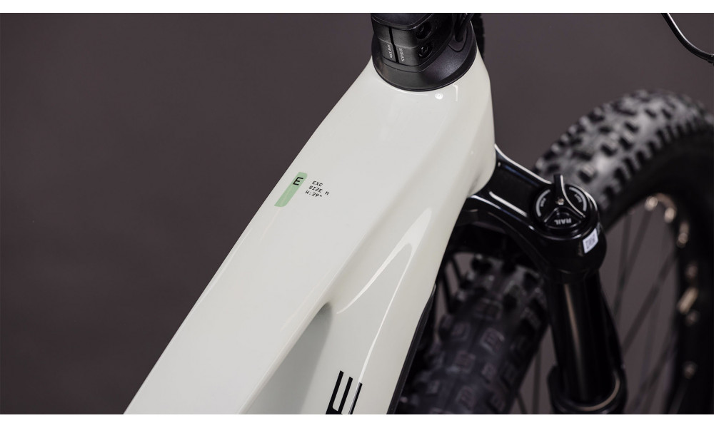 Elektrinis dviratis Cube Stereo Hybrid ONE44 EXC 800 29 desertstone'n'driedherbs 2026 - 6