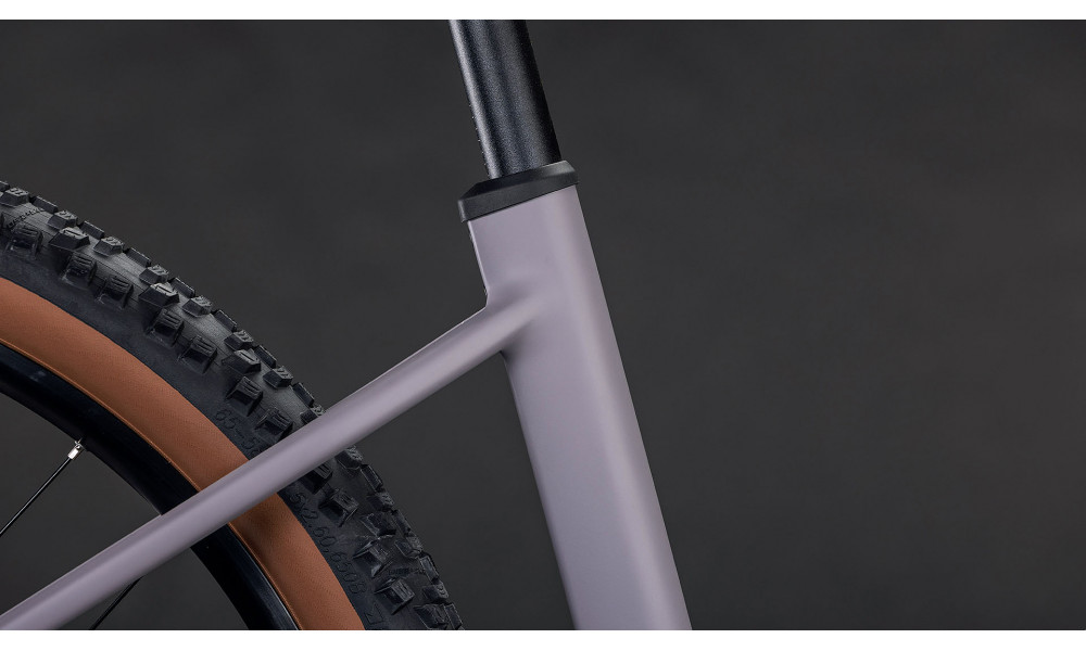 Elektrinis dviratis Cube Reaction Hybrid Performance 600 Easy Entry 27.5 plumgrey'n'black 2026 - 3