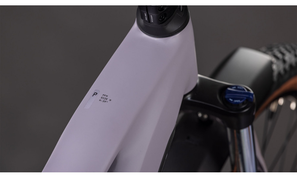 Elektrinis dviratis Cube Reaction Hybrid Performance 600 FE 29 plumgrey'n'black 2026 - 6