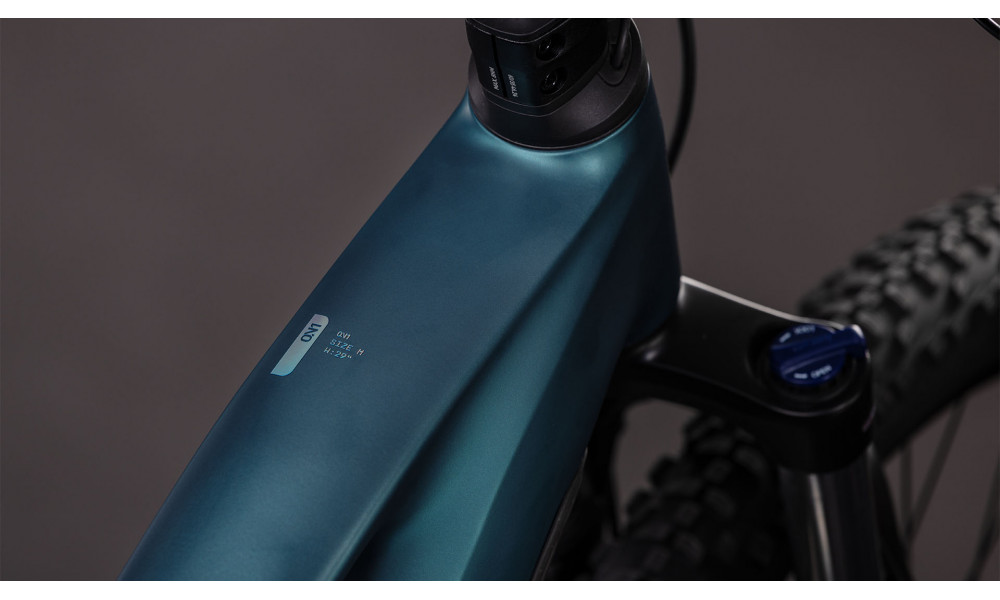 Elektrinis dviratis Cube Reaction Hybrid ONE 600 29 royalgreen'n'prism 2026 - 6