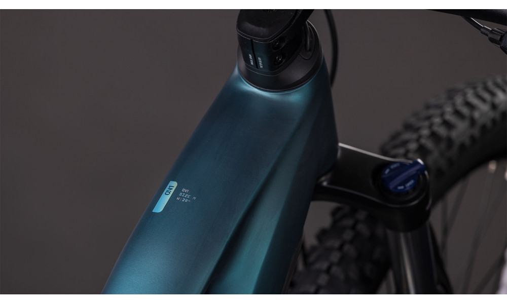 Elektrinis dviratis Cube Reaction Hybrid ONE 800 Trapeze 29 royalgreen'n'prism 2026 - 6