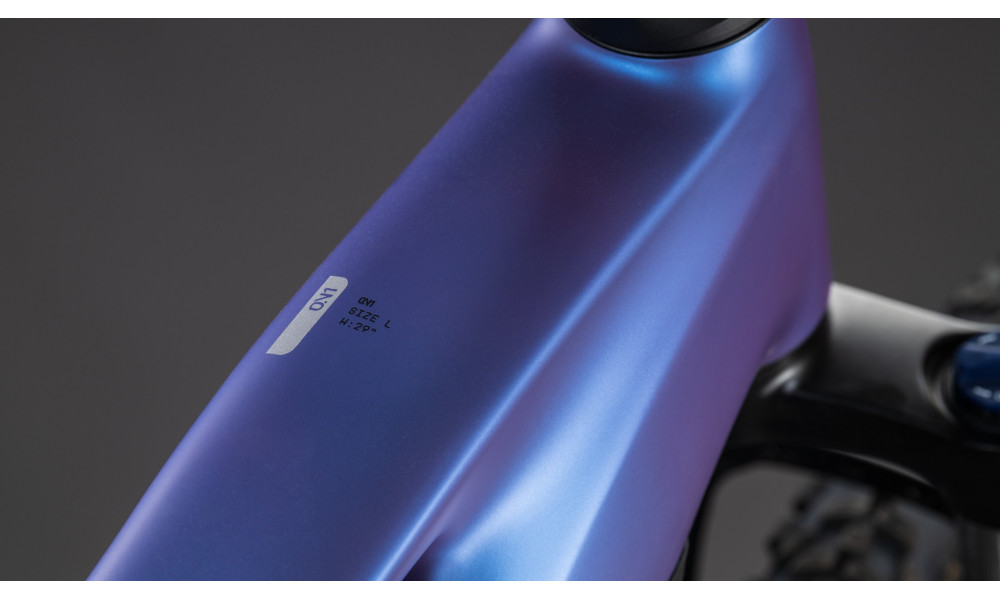 Elektrinis dviratis Cube Reaction Hybrid ONE 800 29 blueiris'n'reflect 2026 - 7