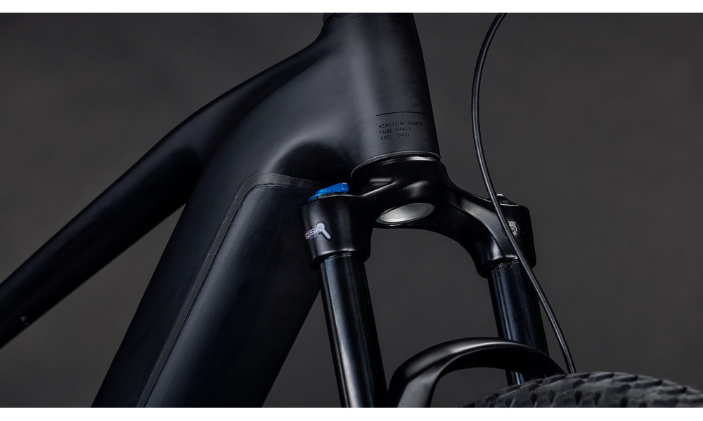 Elektrinis dviratis Cube Reaction Hybrid Pro 800 29 blackline 2026 - 2