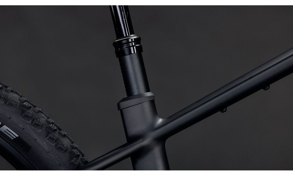 Elektrinis dviratis Cube Reaction Hybrid Pro 800 29 blackline 2026 - 3