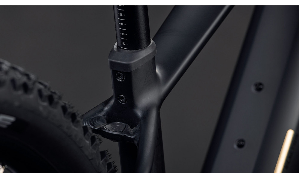 Elektrinis dviratis Cube Reaction Hybrid Pro 800 29 blackline 2026 - 4