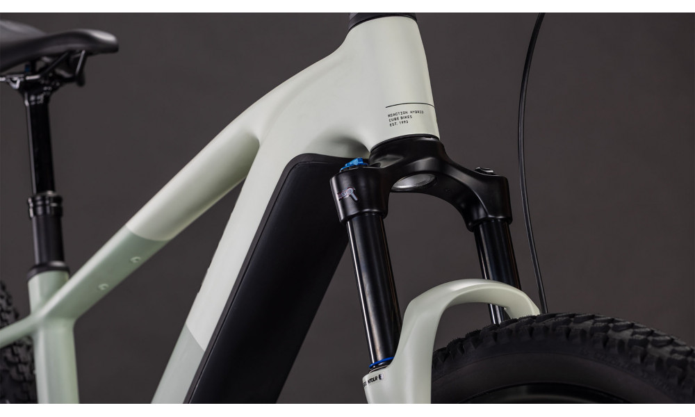 Elektrinis dviratis Cube Reaction Hybrid Pro 800 29 desertstone'n'driedherbs 2026 - 2