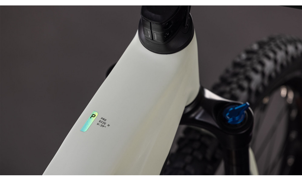 Elektrinis dviratis Cube Reaction Hybrid Pro 800 29 desertstone'n'driedherbs 2026 - 6