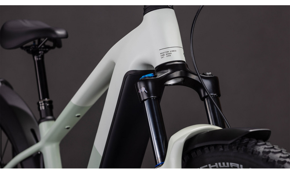 Elektrinis dviratis Cube Reaction Hybrid Pro 800 FE 29 desertstone'n'driedherbs 2026 - 2