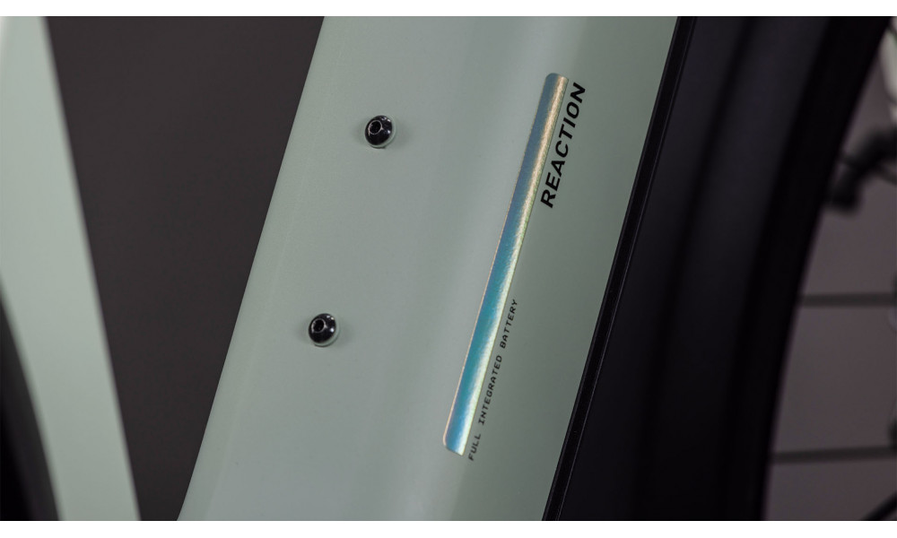 Elektrinis dviratis Cube Reaction Hybrid Pro 800 FE 29 desertstone'n'driedherbs 2026 - 5