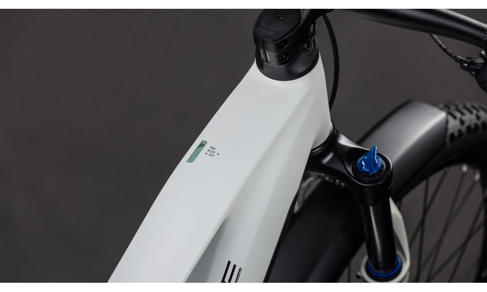 Elektrinis dviratis Cube Reaction Hybrid Pro 800 FE 29 desertstone'n'driedherbs 2026 - 6