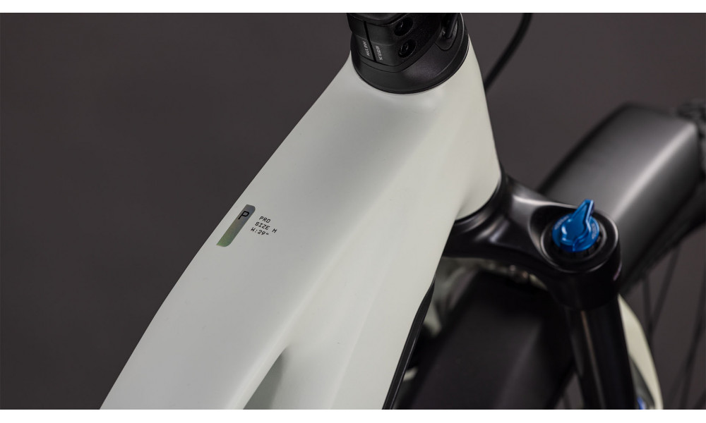 Elektrinis dviratis Cube Reaction Hybrid Pro 800 FE Trapeze 27.5 desertstone'n'driedherbs 2026 - 6