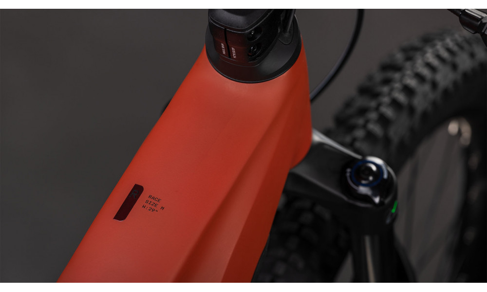 Elektrinis dviratis Cube Reaction Hybrid Race 800 29 amber'n'black 2026 - 5