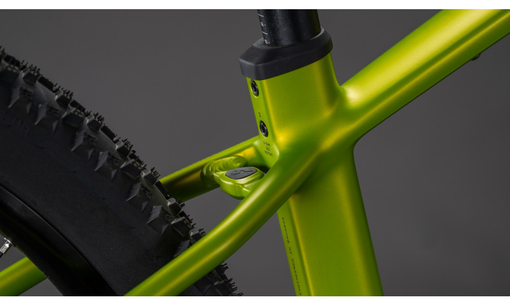 Elektrinis dviratis Cube Reaction Hybrid Race 800 29 lizard'n'black 2026 - 3