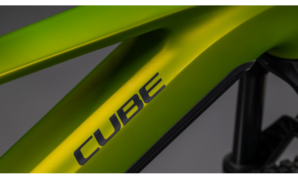 Elektrinis dviratis Cube Reaction Hybrid Race 800 29 lizard'n'black 2026 - 6