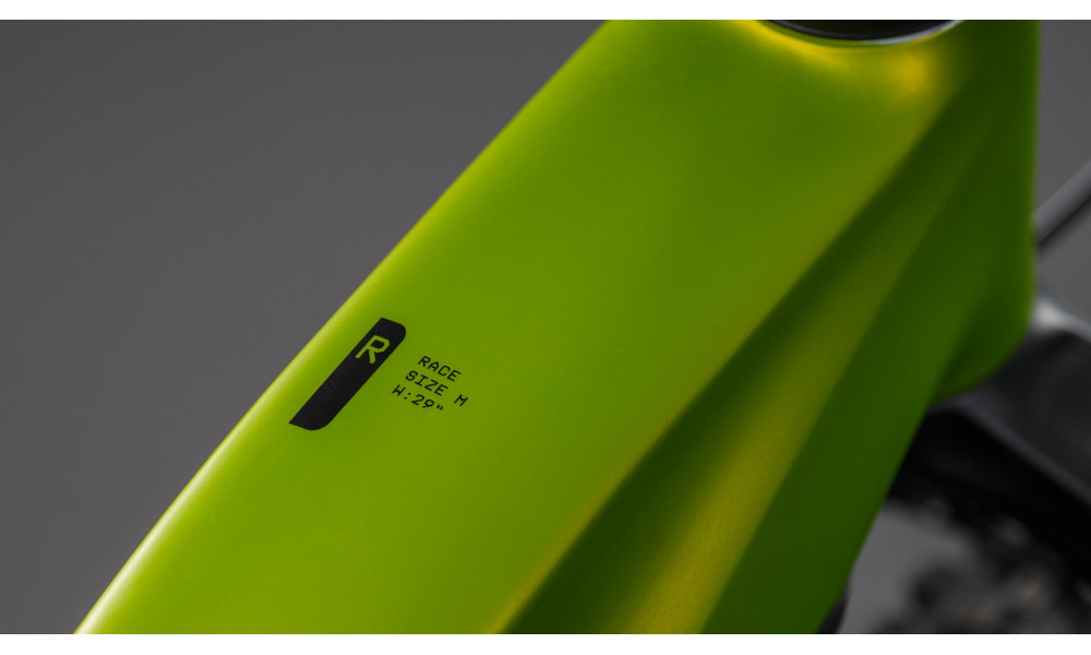 Elektrinis dviratis Cube Reaction Hybrid Race 800 29 lizard'n'black 2026 - 7