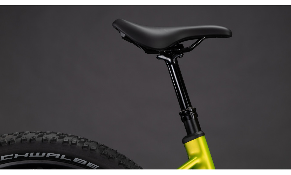 Elektrinis dviratis Cube Reaction Hybrid Race 800 Easy Entry 27.5 lizard'n'black 2026 - 3