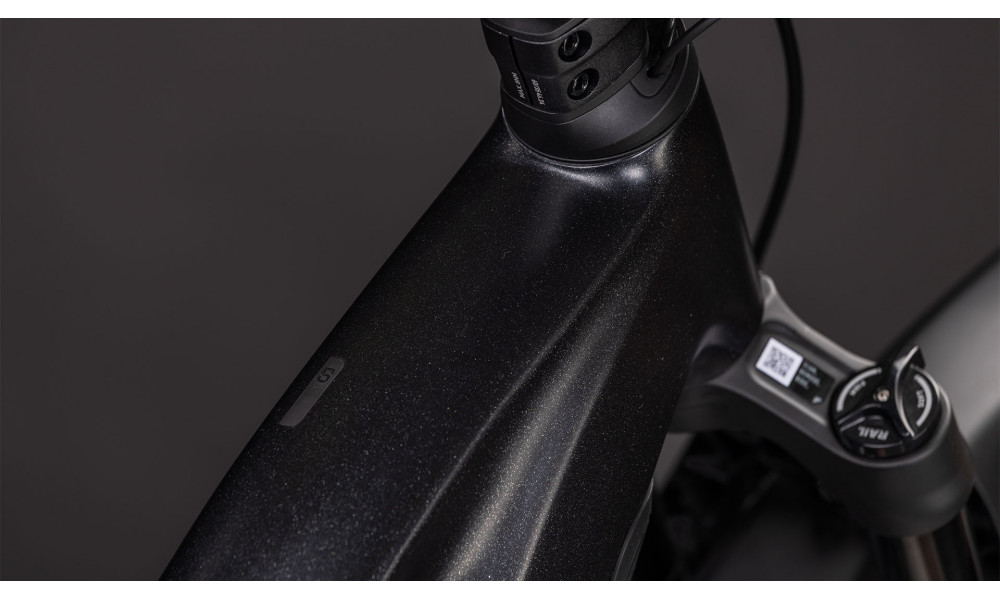 Elektrinis dviratis Cube Reaction Hybrid SLX 800 FE 29 silverdust'n'chrome 2026 - 6