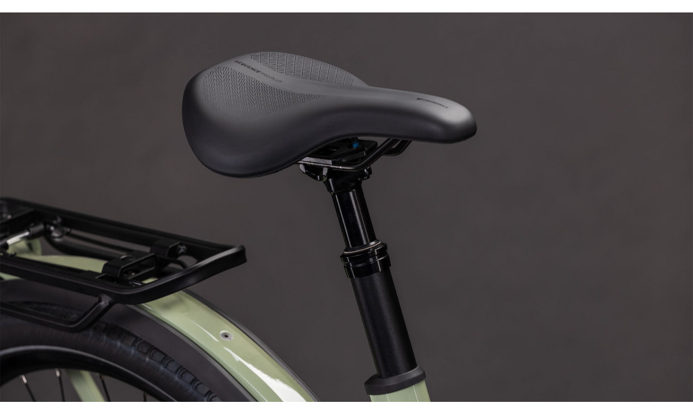 Elektrinis dviratis Cube Kathmandu Hybrid ONE 800 Easy Entry pea'n'green 2026 - 3