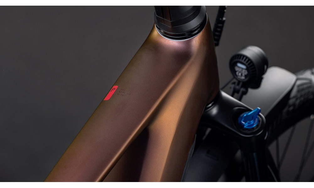 Elektrinis dviratis Cube Kathmandu Hybrid Pro 800 sunglow'n'chrome 2026 - 6