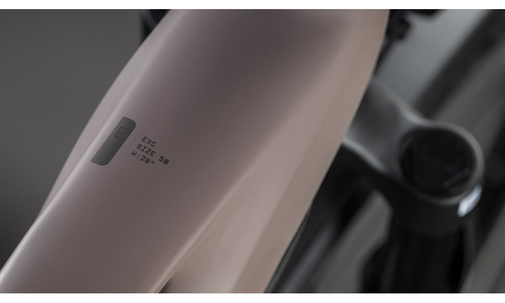 Elektrinis dviratis Cube Kathmandu Hybrid EXC 800 Trapeze cedar'n'chrome 2026 - 6