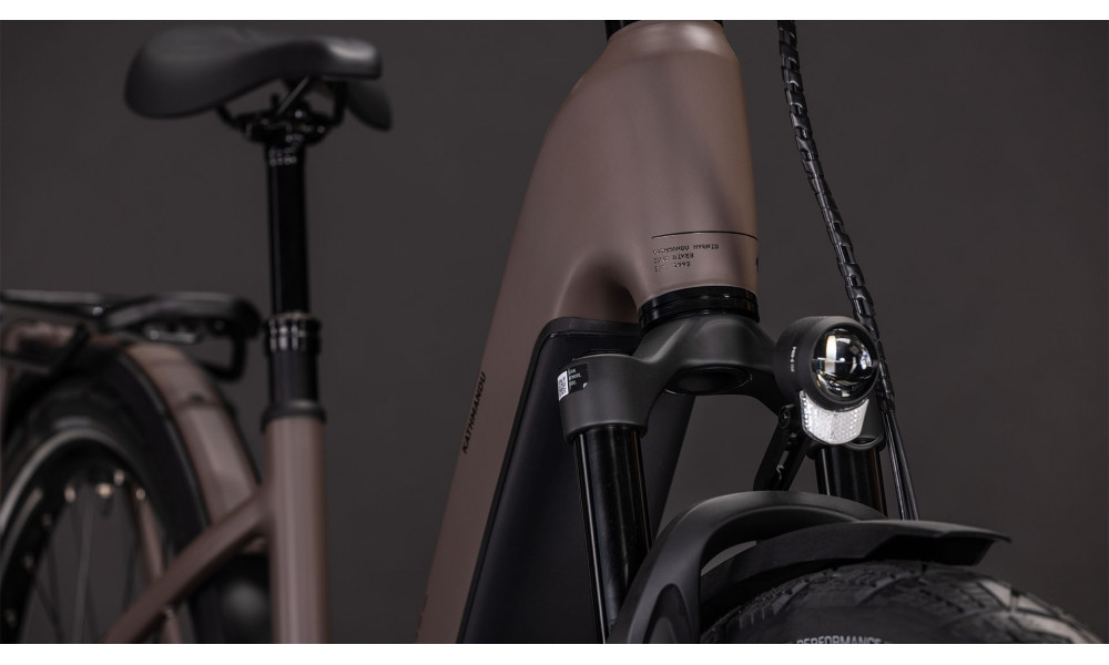 Elektrinis dviratis Cube Kathmandu Hybrid EXC 800 Easy Entry cedar'n'chrome 2026 - 2