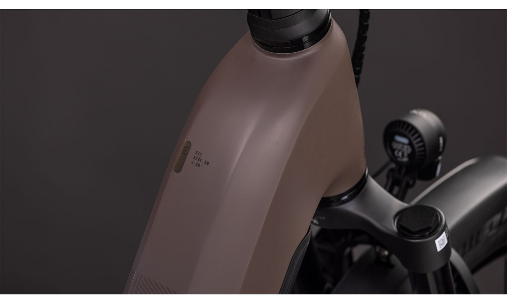 Elektrinis dviratis Cube Kathmandu Hybrid EXC 800 Easy Entry cedar'n'chrome 2026 - 6