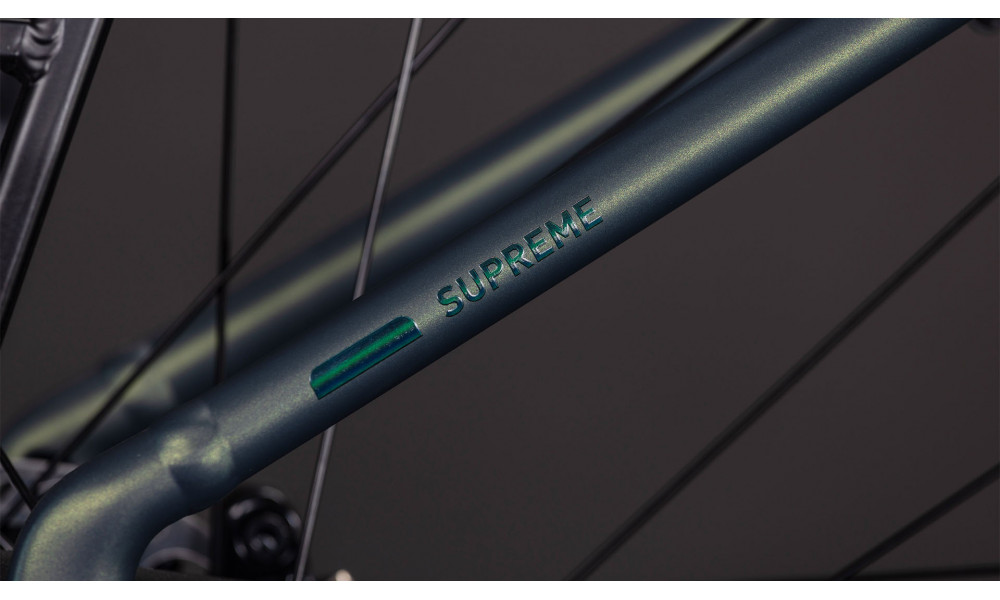 Elektrinis dviratis Cube Supreme RT Hybrid Comfort EXC 600 Easy Entry sagebrushgreen'n'prism 2026 - 3